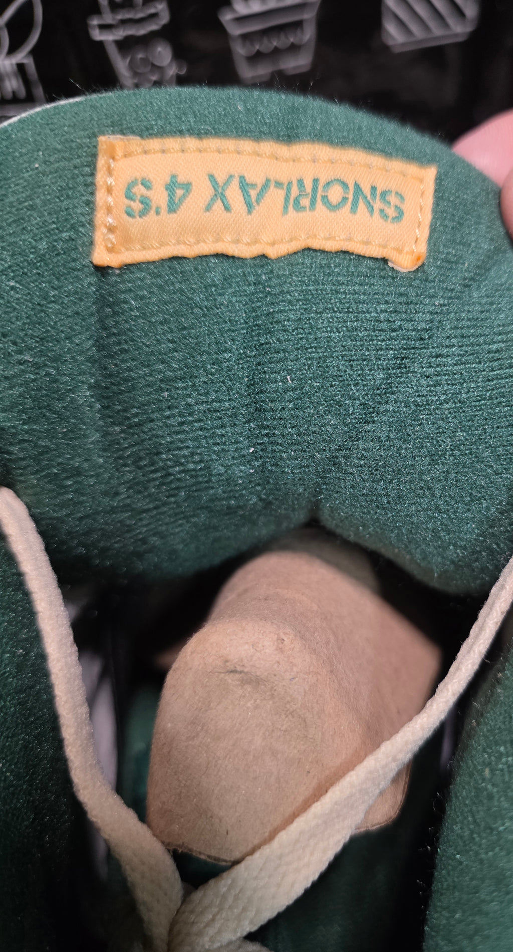 Jordan 4 “Pokémon – Venusaur Inspired” – Fantasy Lineup – US 11 – New – Character Box Included