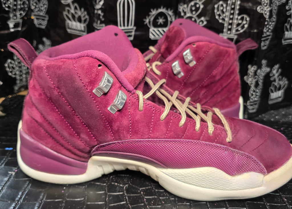 Jordan 12 Bordeaux Men's 10.5