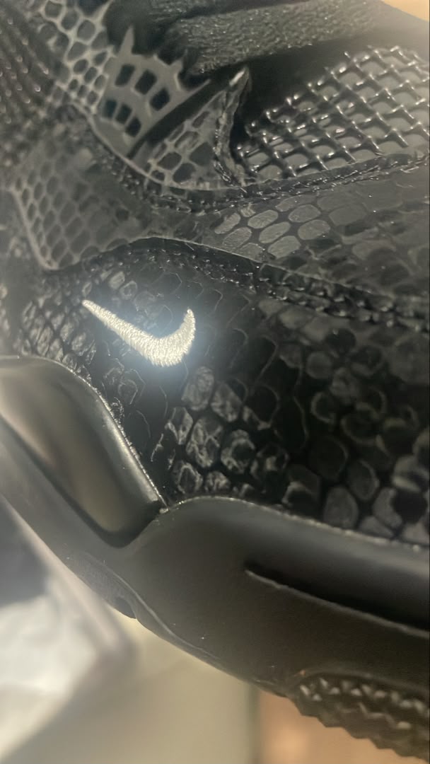 QC Photo 6