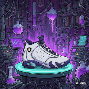 Air Jordan 14