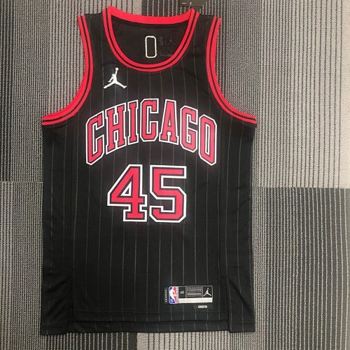 Michael Jordan #45
