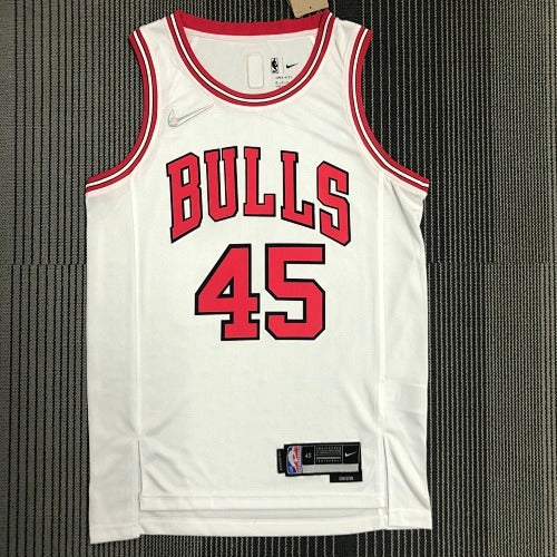 Michael Jordan #45