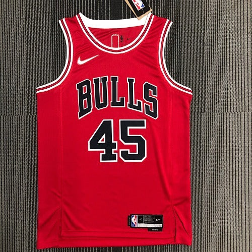 Michael Jordan #45
